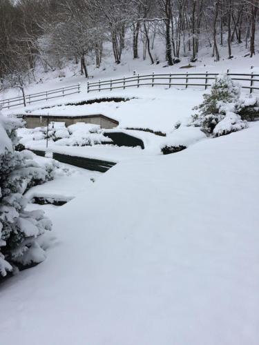 TAN Y GRAIG in Meifod