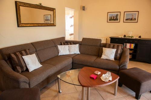 Finca Estrella, Campos (foto 4)