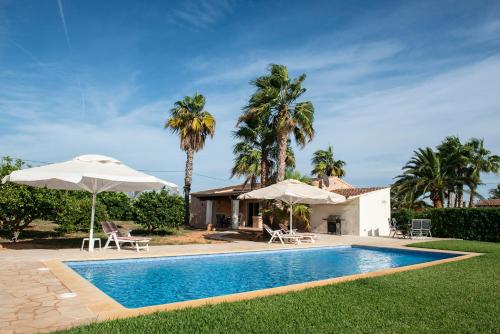 Finca Estrella, Campos (foto 7)