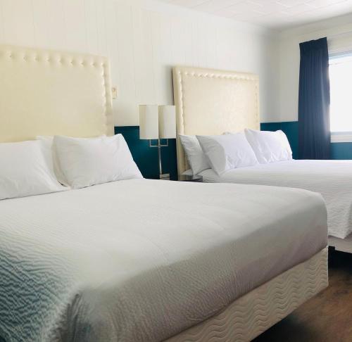 2 queen beds