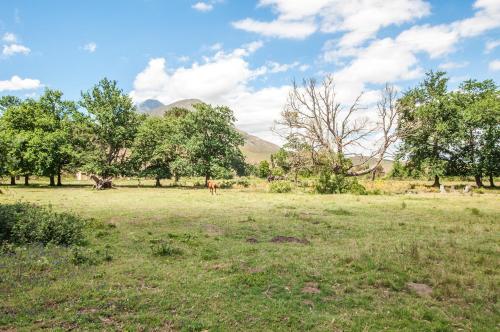 Sodas, GreyCot in Greitonas