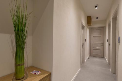 Deluxe Apartments & Rooms "In the Center"