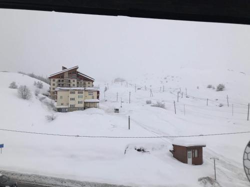 Room 46, Gudauri (foto 5)