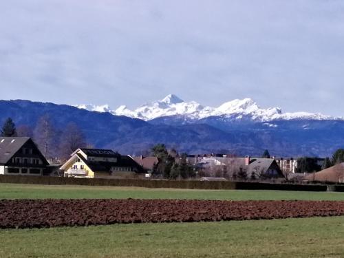 edelweiss 3