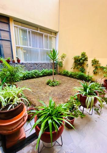 Hotel Arequipa Inn - image 5