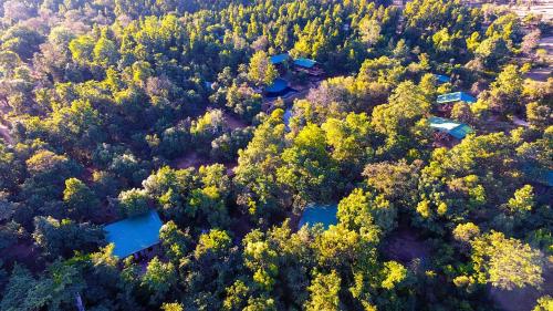 Kanha Jungle Camp