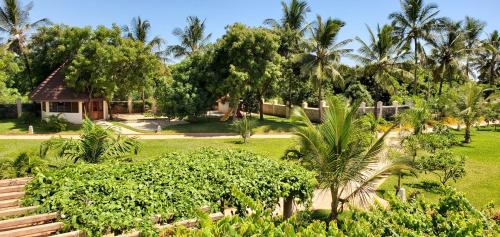 Silver Palm Spa And Resort