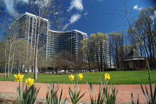 Manhattan on Glebe Park