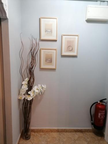  Los jardines de Maria in Contrueces