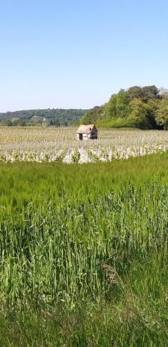 Le Clos de la Chesneraie