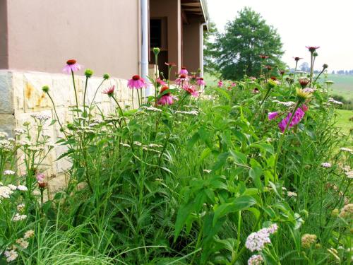 Giant's View Village Giant's View Village