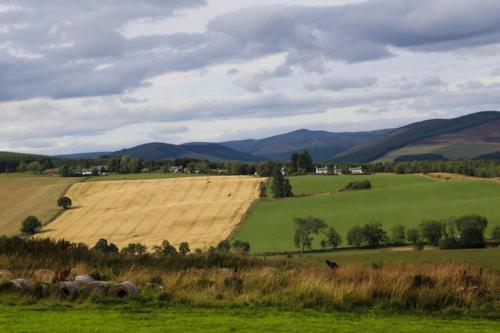 Isla Pod, Kilry eco pods in Bridge of Craigisla