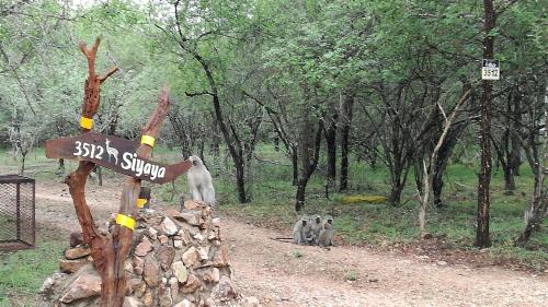 B&B Marloth Park - Siyaya - Bed and Breakfast Marloth Park