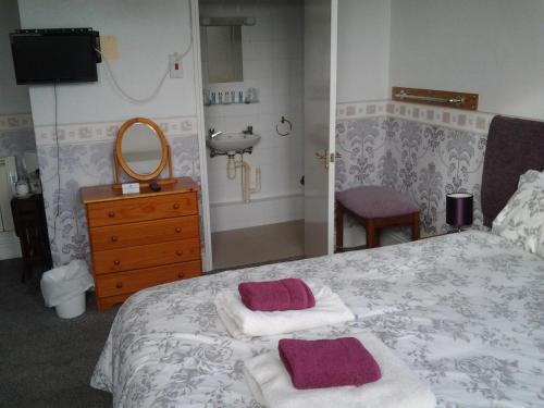 The Mount View Hotel Bed & Breakfast - image 3
