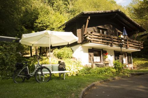 Haus 2 - Typ B (Blockhaus) in Schönecken, Deutschland