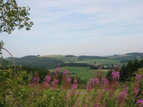 Haus 1 - Typ C (kombiniert) in Schönecken, Deutschland