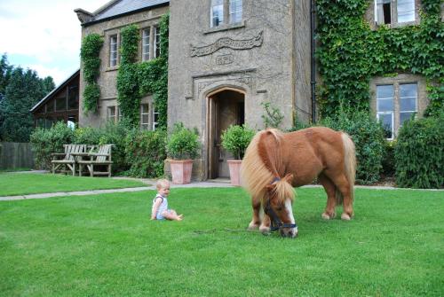 Garden, Toghill House Farm in Wick