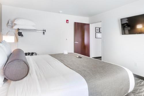 1 king bed, 1 sofa bed