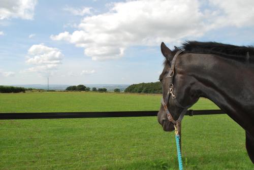 Toghill House Farm