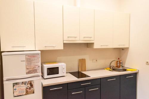 Wonderful flat on city center (Mukachivska 4/8) in Uzhgorod