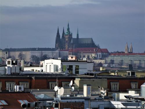 Suite with City View