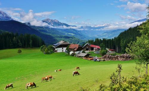  Erlebnishof Tschabitscher in 9762 Weissensee