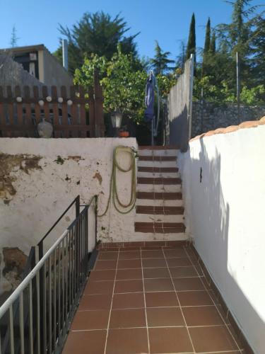L'Agulla Prohibida