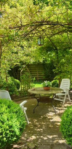 Tiny House in mooie tuin - image 8