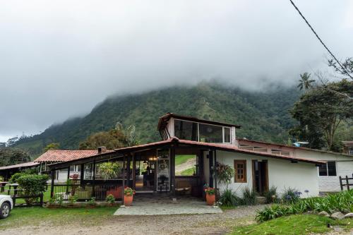 Palmas de Cocora