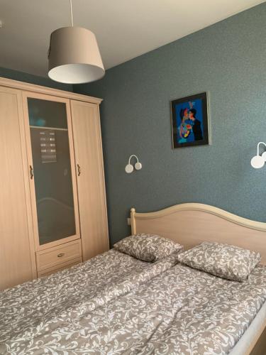White Cat Apartments - main image