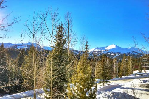 River Park Estates - Live the Breckenridge Dream with Resort Managers - main image