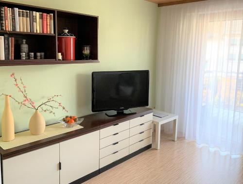 BodenSEE Apartment Friedrichshafen Manzell - image 4
