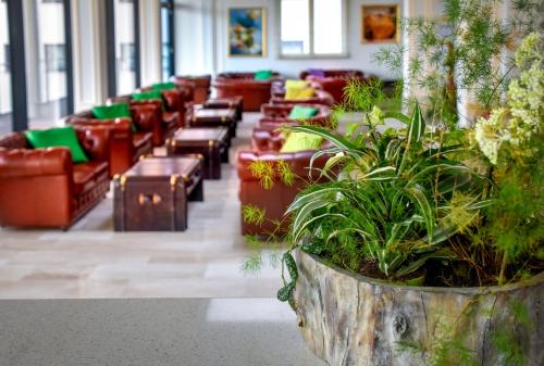 Grand Hotel Palladium - image 10