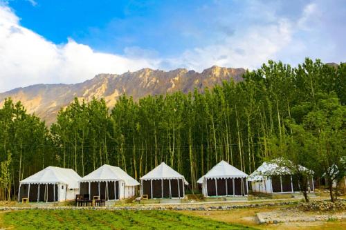 Lumbini Camp Hunder, Nubra Valley