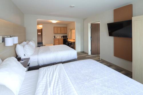 Holiday Inn Express Hotel & Suites Detroit-Utica