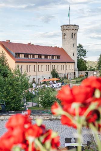 Weingut Pawis Appartements - Apartment - Freyburg