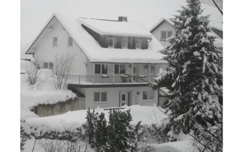 Ferienwohnungen Sonnenpfad - Apartment - Schmallenberg