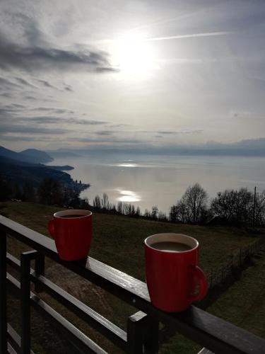 Shoposki Guest House in Elshani