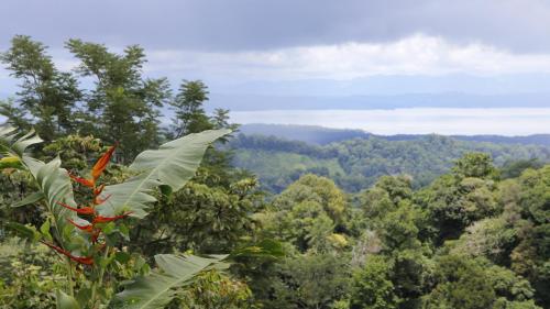 . Finca Sueno de Osa