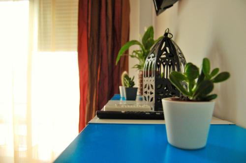 Apartamentos Puerta Real Sevilla, Sevilla (Foto 10)