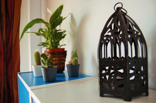 Apartamentos Puerta Real Sevilla, Sevilla (Foto 9)