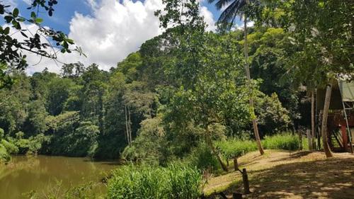 360 Rainforest