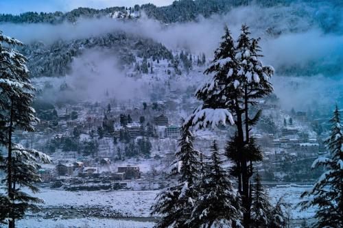 Alt Life Hostels - Manali