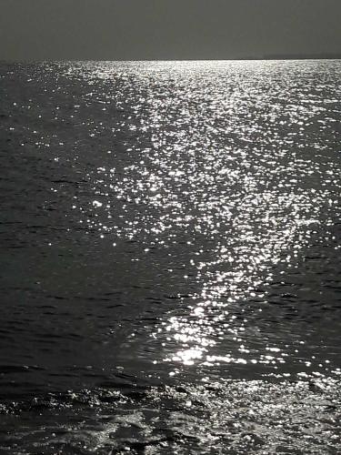 Apartment Dolcezza near the sea RedSeaLine