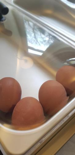 Hotel Altberesinchen - image 2