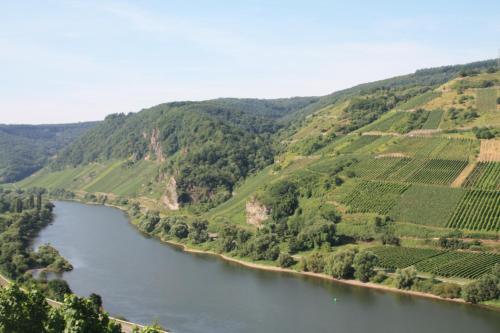 Weingut-Brennerei-Gästehaus Emil Dauns