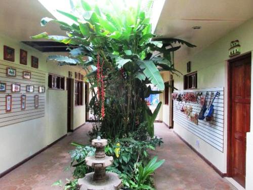Art Hotel Managua - 출입구