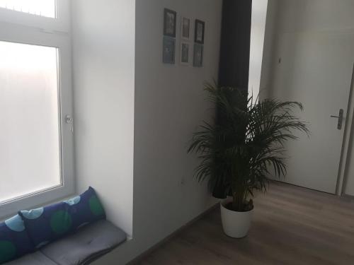 Freinest Wien, Vídeň (fotografie 8)