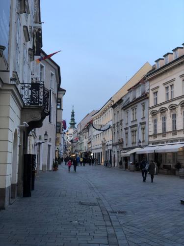 Pleasant apartment under the Bratislava castle, Братислава (фото 7)