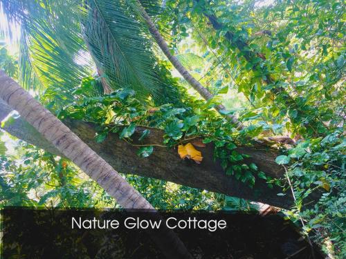 Nature Glow Cottage